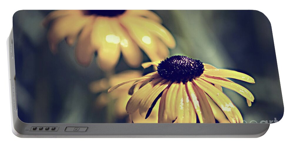 Daisy Portable Battery Charger featuring the photograph Daisies Wild Flowers by Sherry Hallemeier