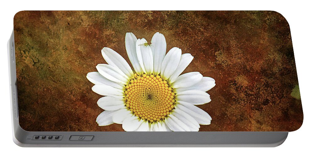 Daisy Flower Photography Portable Battery Charger featuring the photograph Daisy Bug Photo Bomb Wall Art by Gwen Gibson