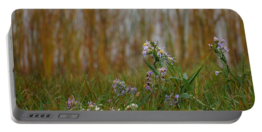 Daisy Portable Battery Charger featuring the photograph Daisy Fleabane by Brooke Bowdren