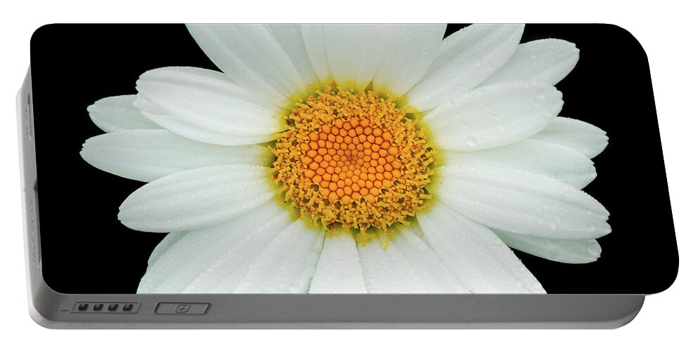 Ray Kent Portable Battery Charger featuring the photograph Daisy by Ray Kent