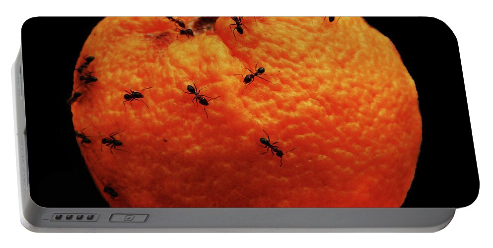 Orange Portable Battery Charger featuring the photograph Dali Apple by Mark Blauhoefer