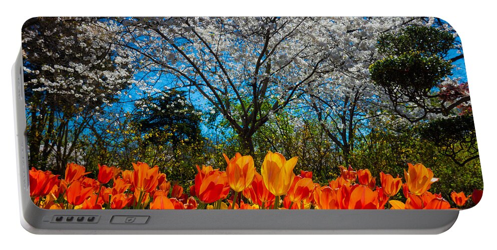 America Portable Battery Charger featuring the photograph Dallas Arboretum Tulips and Cherries by Inge Johnsson