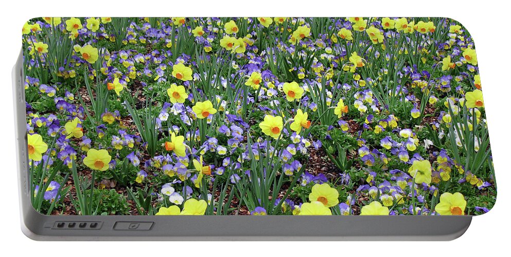 Daffodil Portable Battery Charger featuring the photograph Dallas Daffodils 34 by Pamela Critchlow