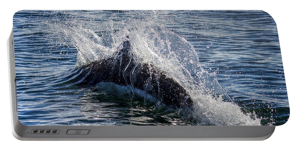 Porpoise Portable Battery Charger featuring the photograph Dall's Porpoise by Kristina Rinell
