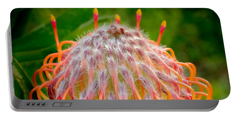 Flower Portable Battery Charger featuring the photograph Dance of the Hydra by Derek Dean