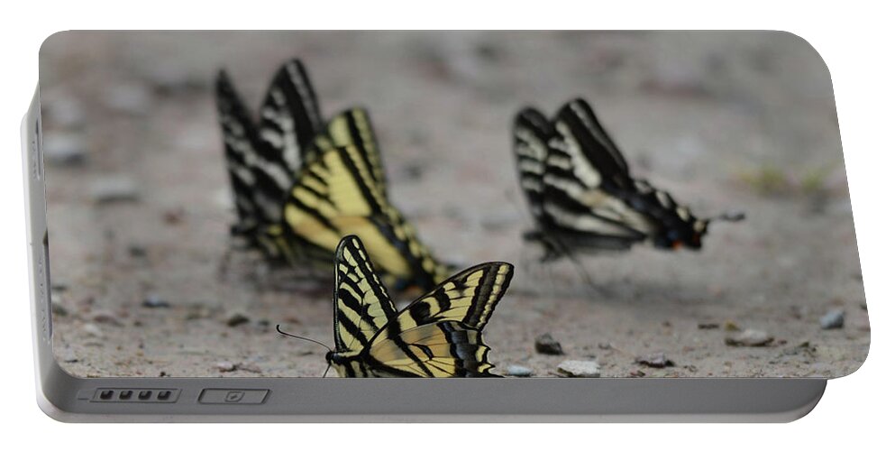 Swallowtail Portable Battery Charger featuring the photograph Dance of the Swallowtail by Whispering Peaks Photography