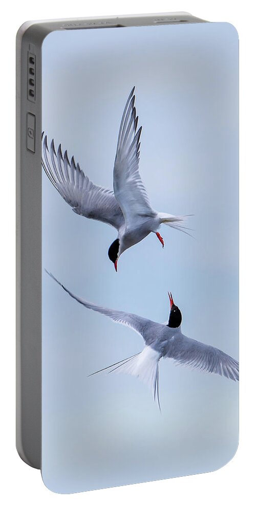 Dancing Arctic Terns Portable Battery Charger featuring the photograph Dancing Arctic Terns by Torbjorn Swenelius
