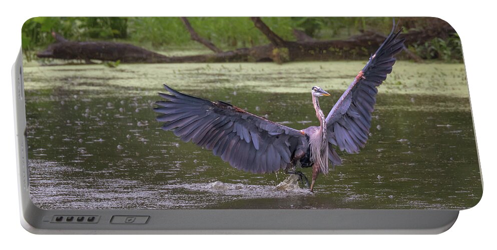 Great Blue Heron Portable Battery Charger featuring the photograph Dancing in the Rain by Susan Rissi Tregoning
