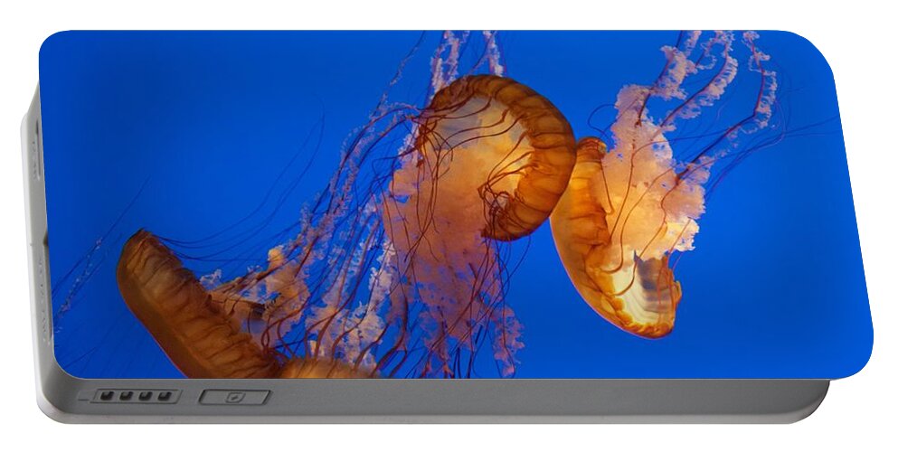 Chrysaora Fuscescens Portable Battery Charger featuring the photograph Dancing Sea Nettles by Venetia Featherstone-Witty