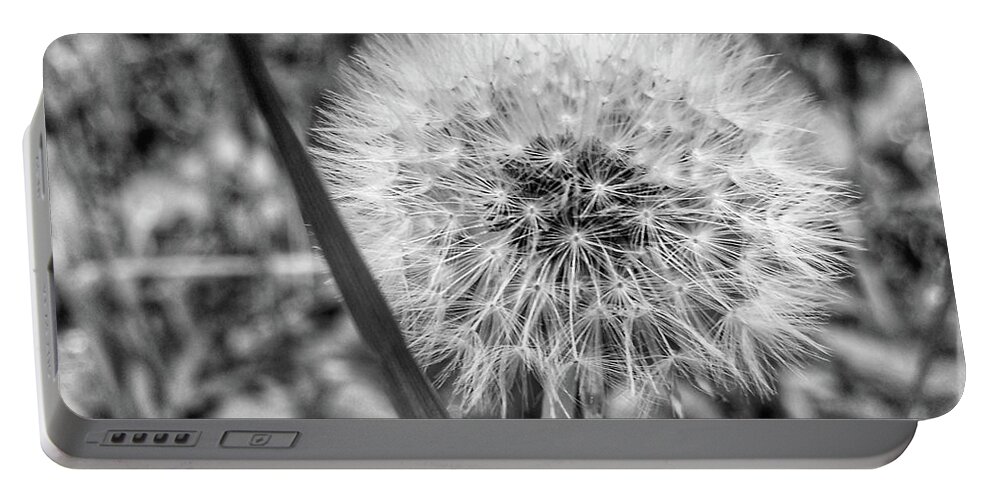 Weed Portable Battery Charger featuring the photograph Dandelion by Al Harden