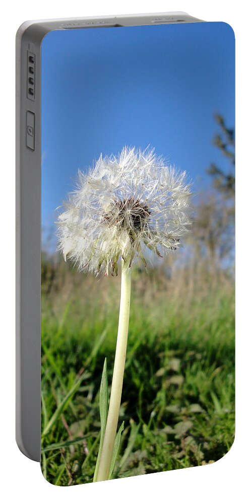 Dandelion Portable Battery Charger featuring the photograph Dandelion clock by Susan Baker