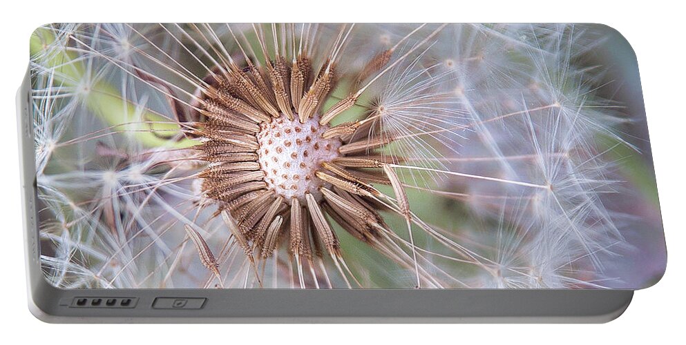 Nature Portable Battery Charger featuring the photograph Dandelion Delicacy by Sharon McConnell