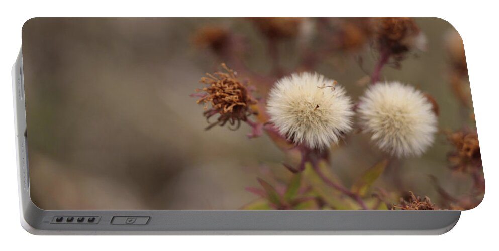 Dandelion Portable Battery Charger featuring the photograph Dandelion Puff Ball by David Bigelow