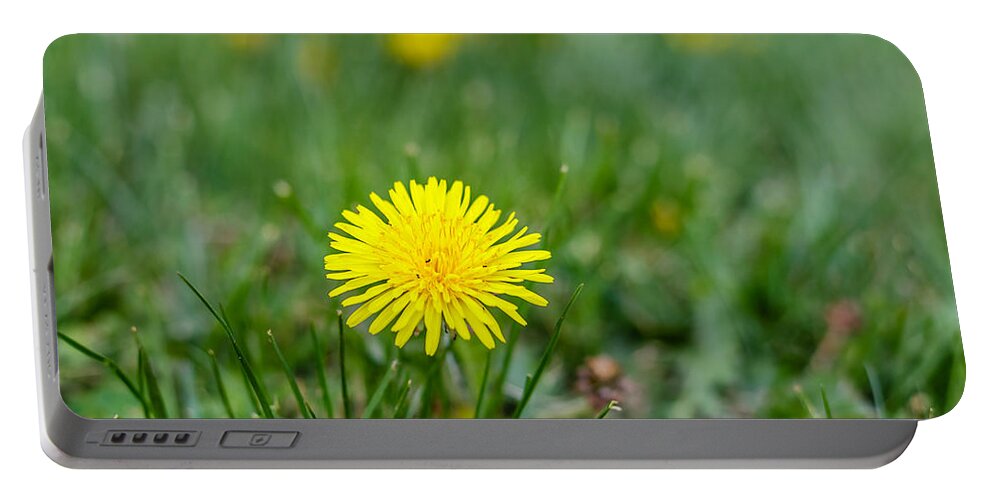 Dandelion Portable Battery Charger featuring the photograph Dandelion by SAURAVphoto Online Store