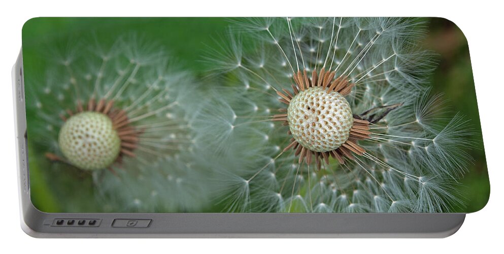 Juneau Portable Battery Charger featuring the photograph Dandelion Seeds by Cathy Mahnke