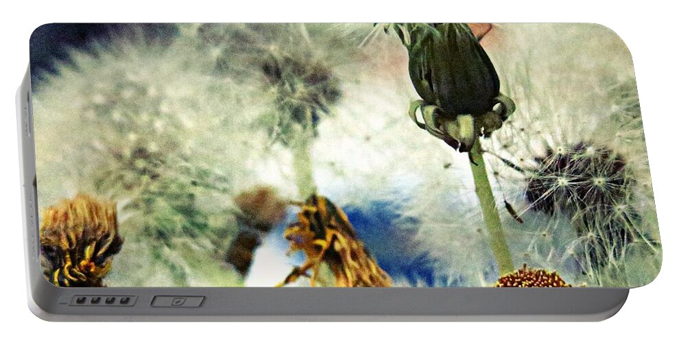 Dandelions Portable Battery Charger featuring the mixed media Dandelion Transitions by Leanne Seymour