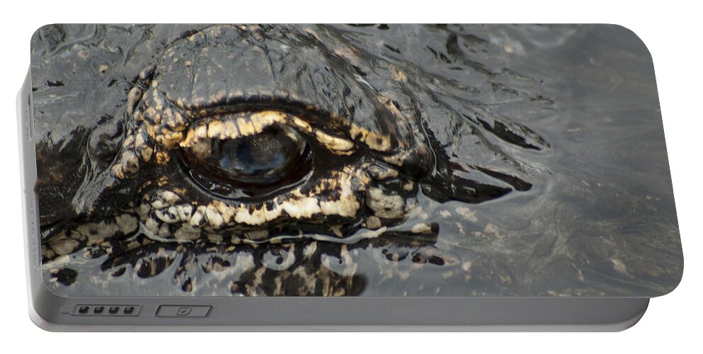 Alligator Portable Battery Charger featuring the photograph Dangerous Stalker by Carolyn Marshall