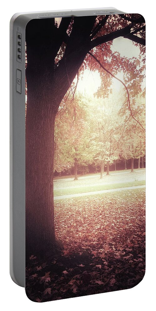 Trees Portable Battery Charger featuring the photograph Dark and hazy autumn landscape by GoodMood Art