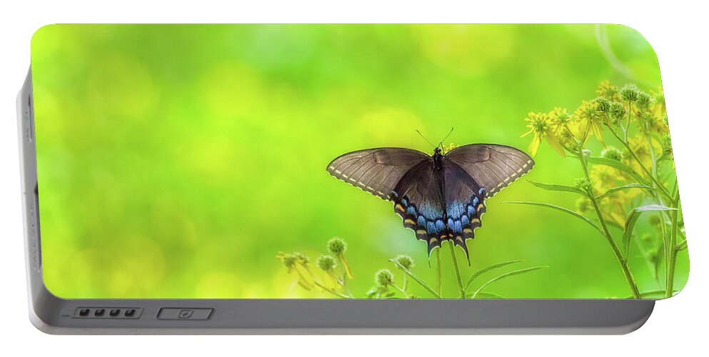 K-1 Portable Battery Charger featuring the photograph Dark Morph Female Tiger Swallowtail Butterfly by Lori Coleman