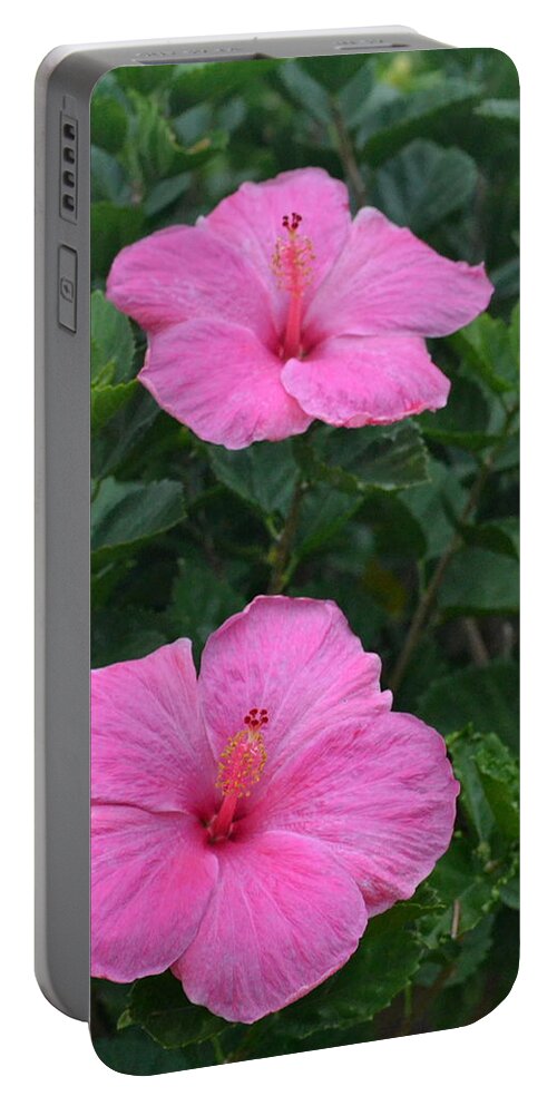 Flower Portable Battery Charger featuring the photograph Dark Pink Hibiscus Duo by Amy Fose