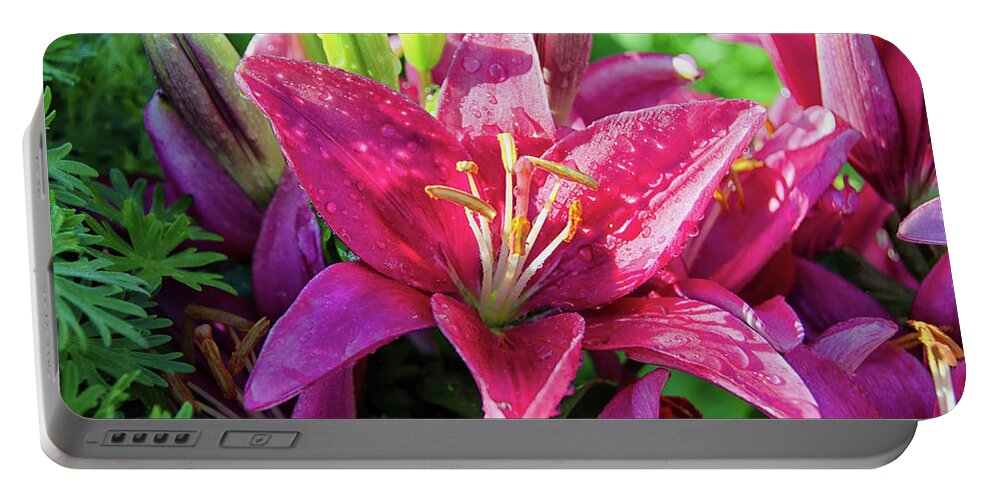 Leaves Portable Battery Charger featuring the photograph Dark pink lily by Debra Baldwin