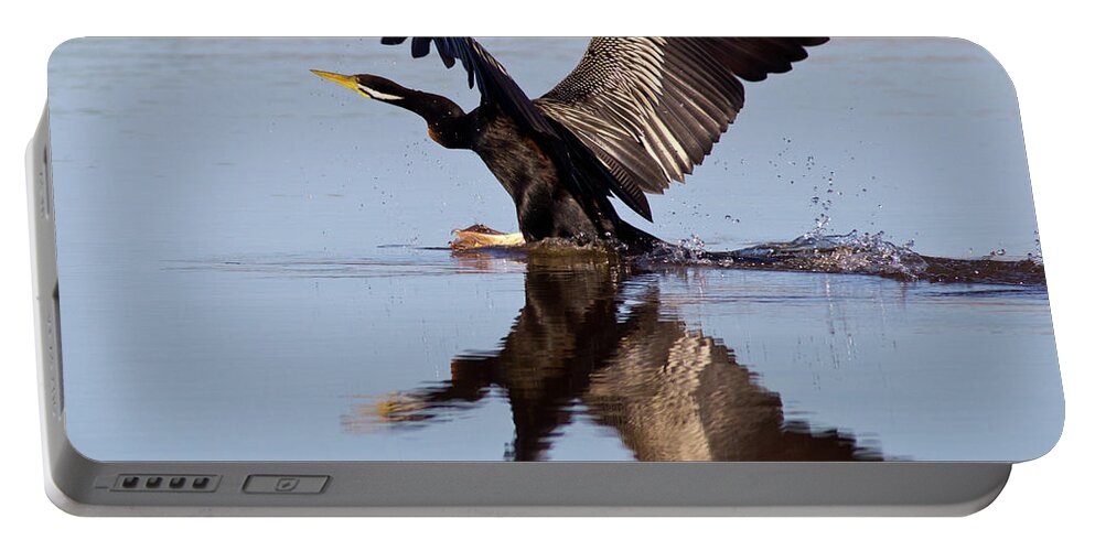 Bird Landing On Water Darter River Murray Flying Reflection Reflections Wing Span Portable Battery Charger featuring the photograph Darter Landing by Bill Robinson
