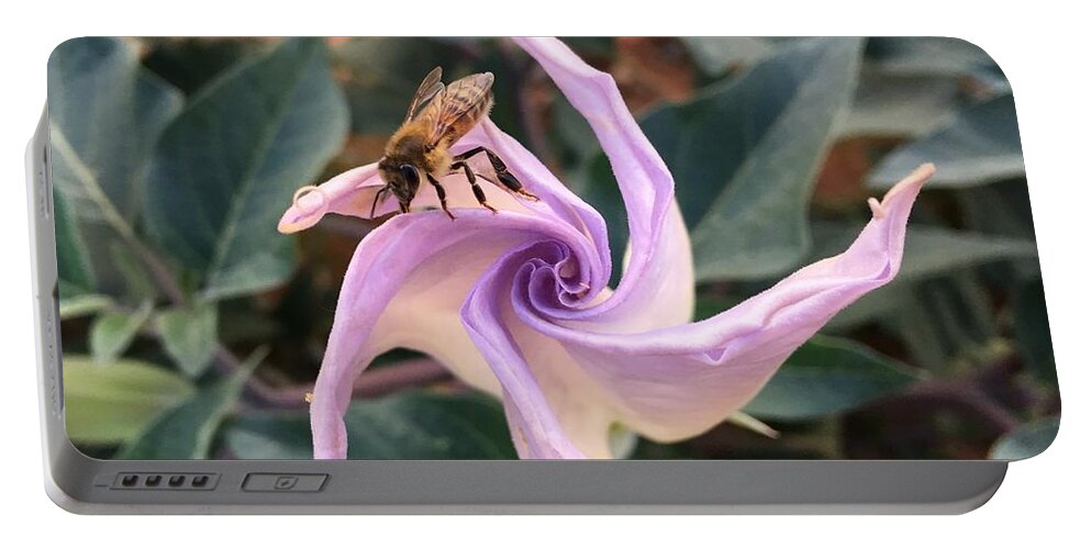 Datura Portable Battery Charger featuring the painting Datura Buzz by Rebecca Weeks