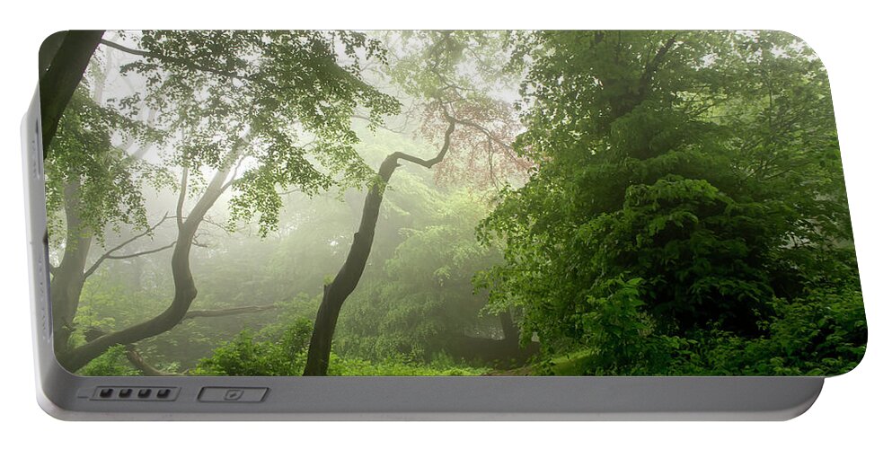 Corstorphine Hill Portable Battery Charger featuring the photograph Daylight through the fog. by Elena Perelman