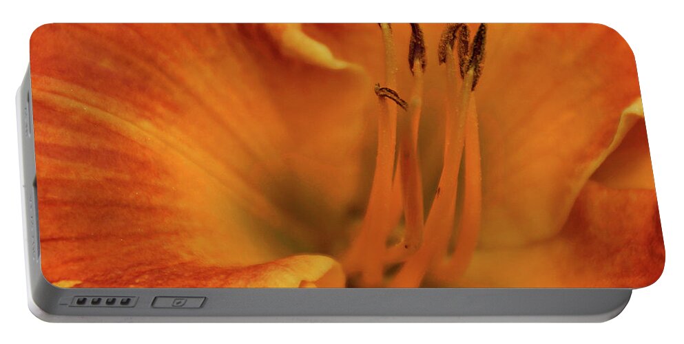Daylily Portable Battery Charger featuring the photograph Daylily Close-up by Sandy Keeton