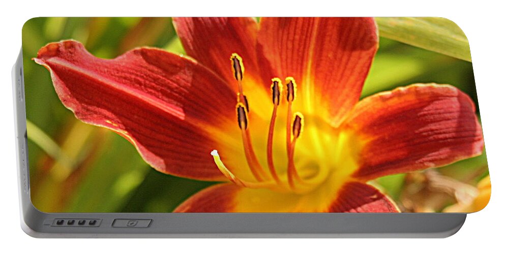 Flower Portable Battery Charger featuring the photograph Daylily by Jean Macaluso