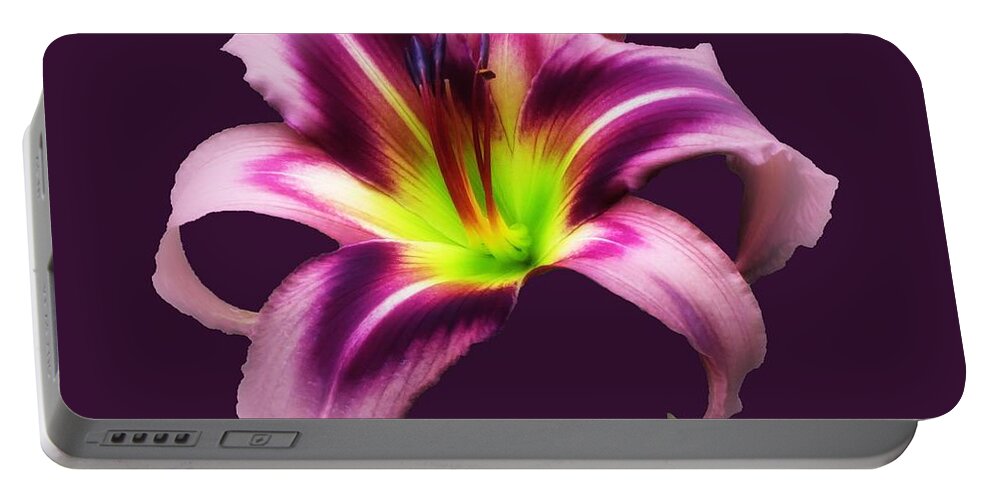 Daylily Portable Battery Charger featuring the photograph Daylily Star by MTBobbins Photography