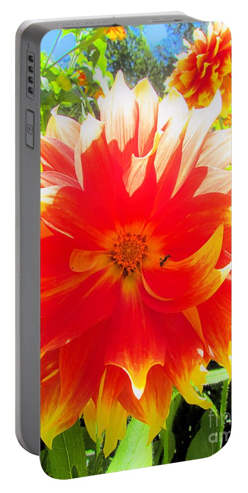 Dahlia Portable Battery Charger featuring the photograph Dazzling Dahlia by Elizabeth Dow