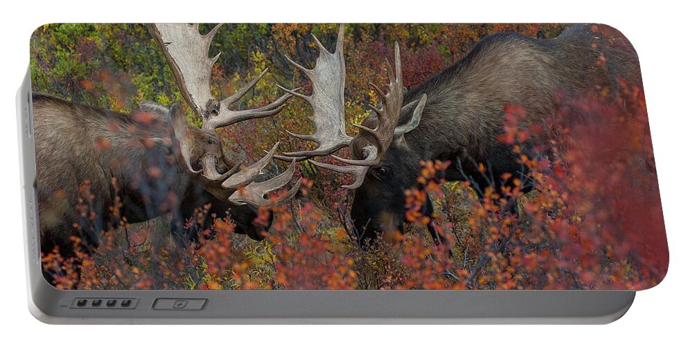 Alaska Portable Battery Charger featuring the photograph DDP DJD Rutting Moose 165 by David Drew