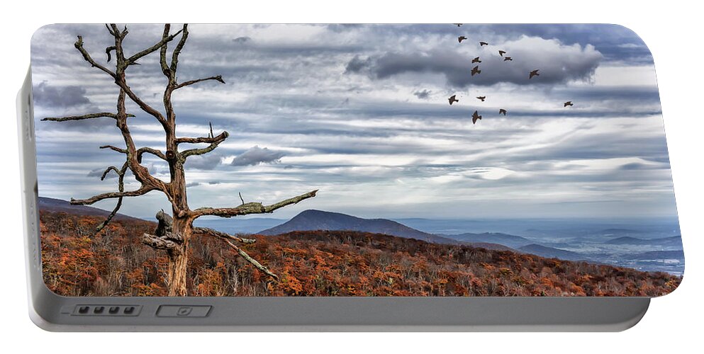 Skyline Drive Portable Battery Charger featuring the photograph Dead Tree At Skyline Drive by Lois Bryan