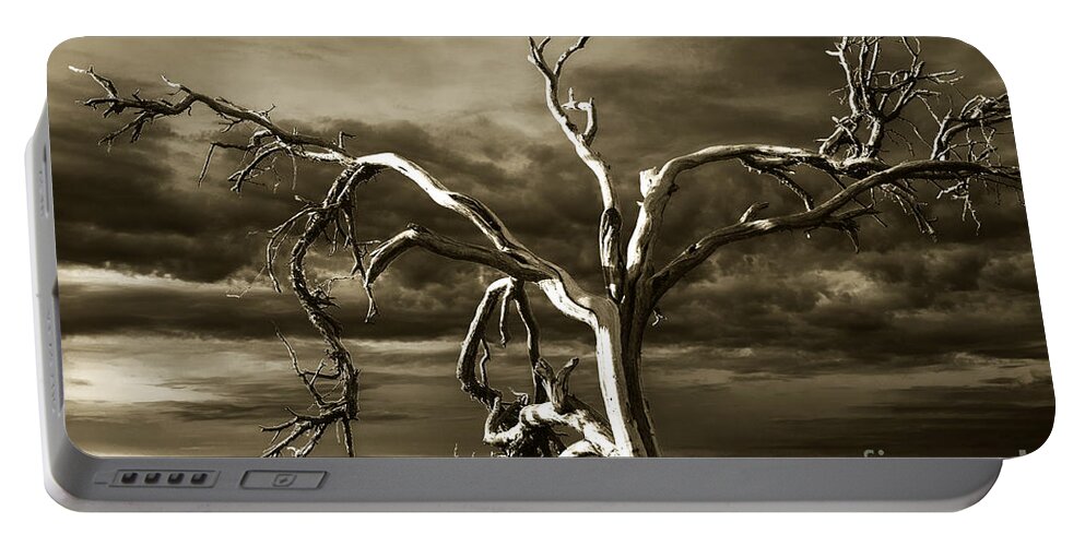 Death Valley Portable Battery Charger featuring the photograph Dead tree in Death Valley 10 by Micah May