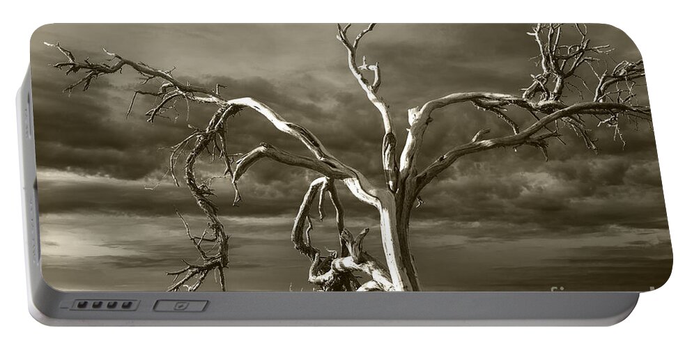 Death Valley Portable Battery Charger featuring the photograph Dead tree in Death Valley 8 by Micah May