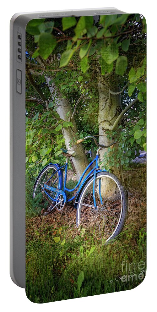 American Portable Battery Charger featuring the photograph Deb's Schwinn I by Craig J Satterlee