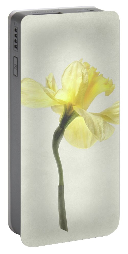 Daffodil Portable Battery Charger featuring the photograph Decadent Daffodil by Kathi Mirto