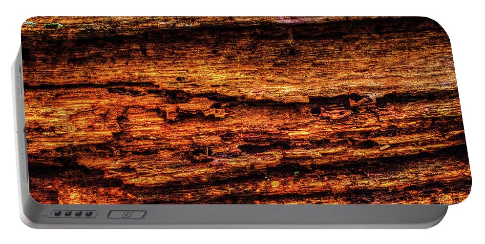 Illinois Portable Battery Charger featuring the photograph Decomposing Fallen Tree Trunk Detail by Roger Passman