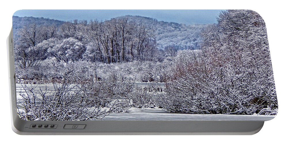 Winter Portable Battery Charger featuring the photograph Deep in the Swamp by Wild Thing