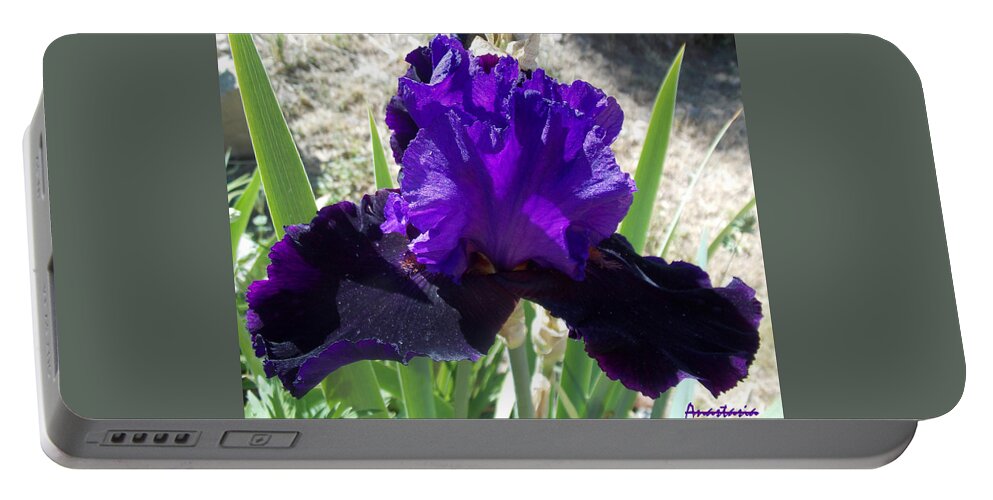 Iris Portable Battery Charger featuring the photograph Deep Purple Iris Agape Gardens by Anastasia Savage Ealy