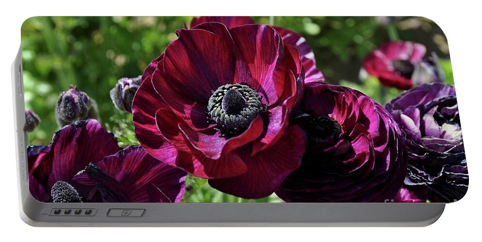 Fuchsia Portable Battery Charger featuring the photograph Deep Ranunculus by Bridgette Gomes