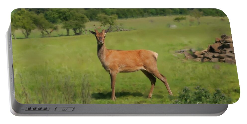 Red Deer Portable Battery Charger featuring the photograph Deer calf. by Elena Perelman