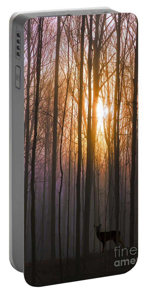 Deer Portable Battery Charger featuring the photograph Deer in the Forest at Sunrise by Diane Diederich