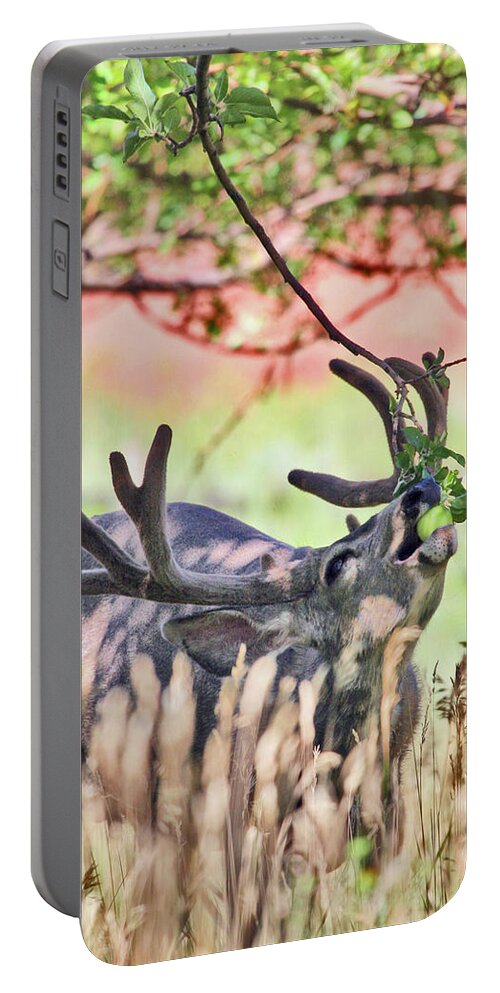 Deer Portable Battery Charger featuring the photograph Deer in the Orchard by Wesley Aston