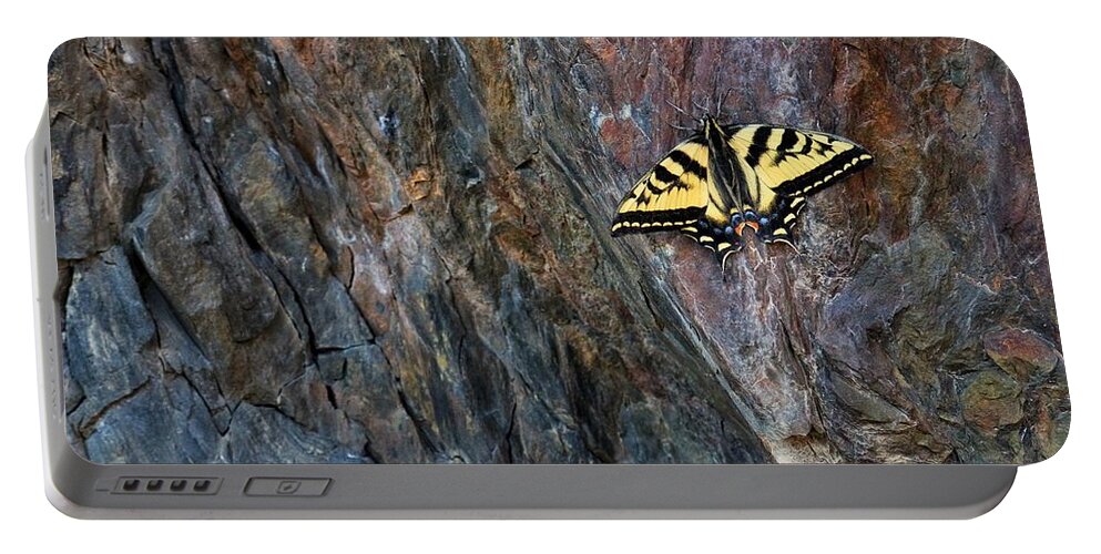Butterfly Portable Battery Charger featuring the photograph Delicate Meets Rugged by Buck Buchanan