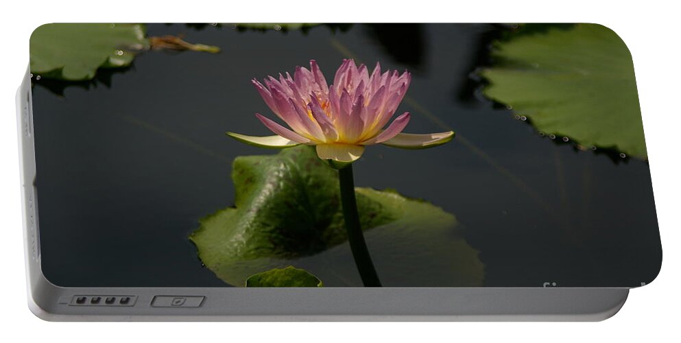 Purple Portable Battery Charger featuring the photograph Delicate Purple Lotus Waterlily by Jackie Irwin