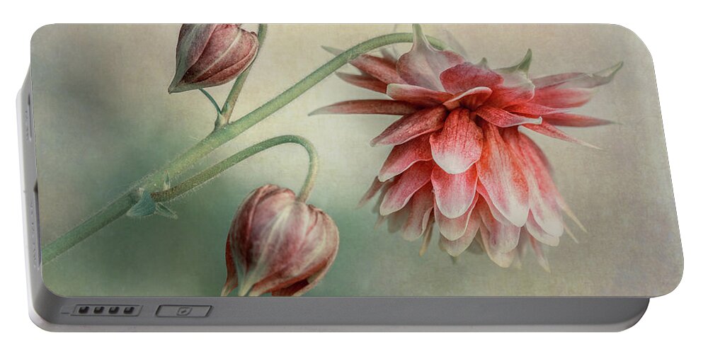 Colorful Portable Battery Charger featuring the photograph Delicate red columbine by Jaroslaw Blaminsky