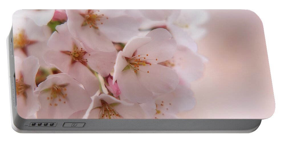 Cherry Blossom Trees Portable Battery Charger featuring the photograph Delicate Spring Blooms by Angie Tirado