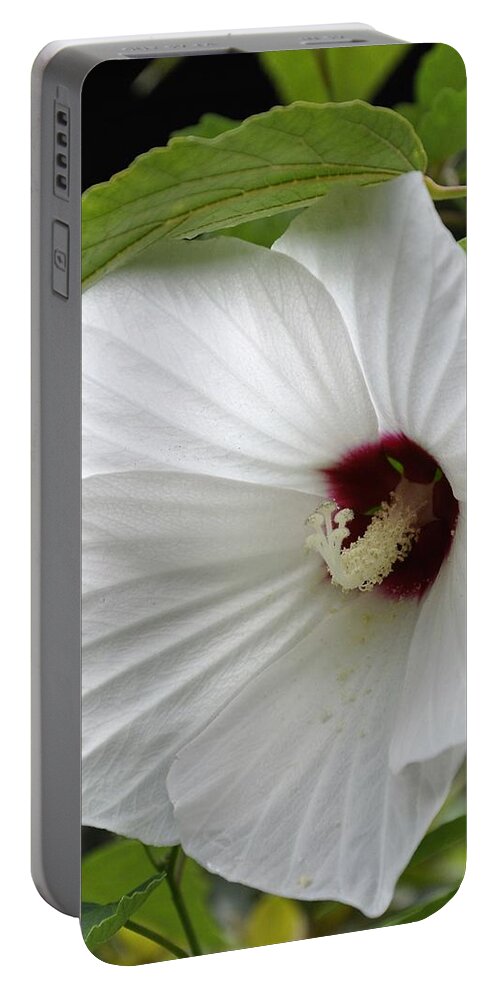 Floral Portable Battery Charger featuring the photograph Delicate White by Sally Falkenhagen